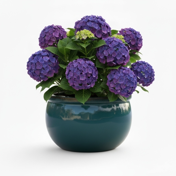 Keramik-Pflanzgefäß 52 × 31 cm – glänzend Grün, XXL & handgefertigt