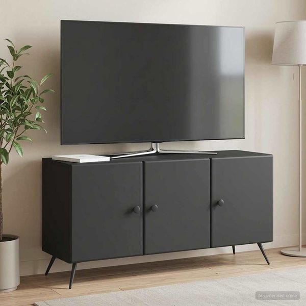 vidaXL TV-Schränk Schwarz 99 x 34,5 x 50 cm Holzwerkstoff 895636