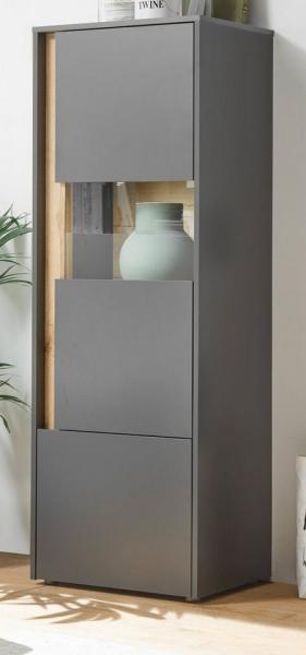 Furn. Design Standvitrine Center (Vitrinenschrank in grau mit Eiche, 50 x 155 cm) 2-türig