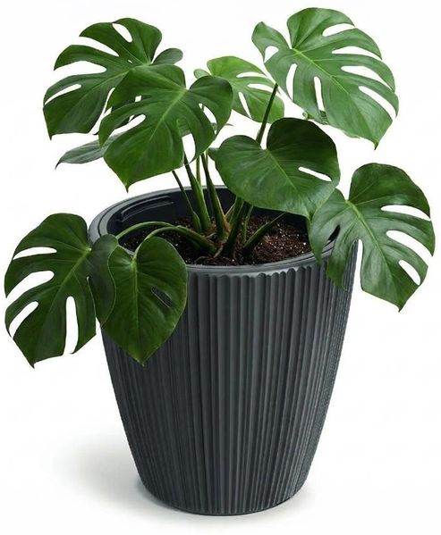 Prosperplast Blumentopf Oro, inkl. Pflanzeinsatz, 23,9 x 24 cm, dunkelgrau