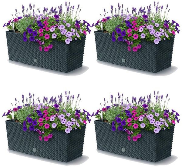 Prosperplast Blumenkasten Rato Case (4 St, 4er-Set), Bewässerungssystem, Rattanoptik, eckig