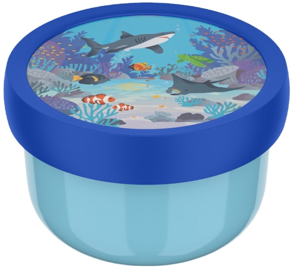 Mepal CAMPUS Fruchtbox 300 ml Tropical Ocean (2025)
