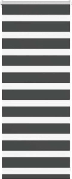 vidaXL Doppelrollo Schwarz 65x100 cm Stoffbreite 60,9 cm Polyester 4014202