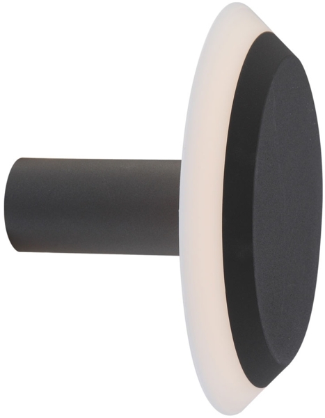 LED Wandleuchte, ALU, grau, IP54, D 20 cm