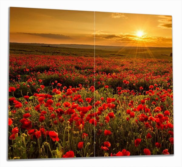 Wallario Herd-Abdeckplatte Mohnblumenwiese bei Sonnenuntergang am Abend, ESG-Sicherheitsglas, (Glasplatte, 2 tlg, inkl. 5mm Noppen), verschiedene Größen