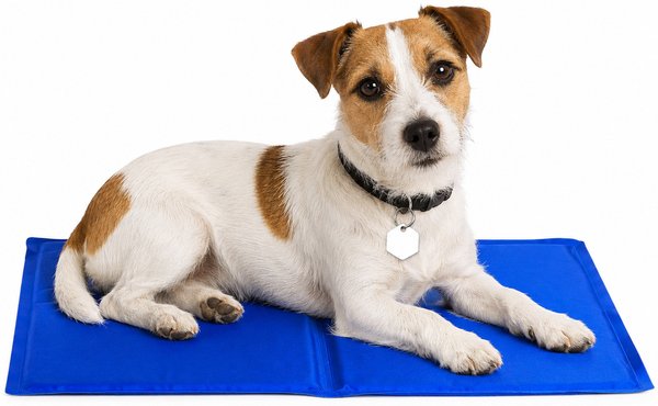 lionto Kühlmatte, angenehme Abkühlung für Hunde & Katzen, selbstkühlend & sicher, ideal für Sommer & Reisen, 90x50 cm, blau