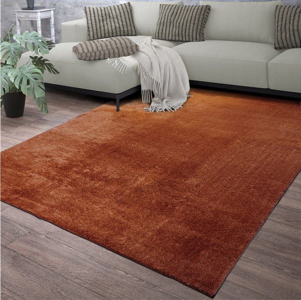 TT Home Teppich Diele, Esszimmer, Flur, Schlafzimmer, Wohnzimmer, Rechteckig, Höhe: 14 mm, Wohnzimmer Kurzflor Einfarbig Modernes Design Waschbar