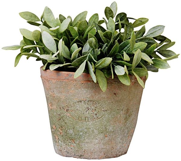 Terracotta Blumentopf im Landhausstil 12 cm Hoch