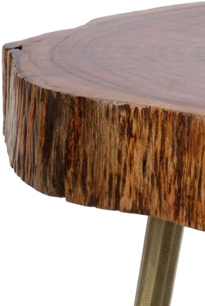 Casa Padrino Luxus Dreibein Beistelltisch Braun / Messingfarben 28 x 36 x H. 46 cm - Moderner Tisch im Baumscheiben Design und Messingfüllung Bild 3