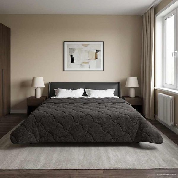 vidaXL Sommerdecke Anthrazit 200 x 220 cm Mikrofaser und Teddy-Fleece 42026165