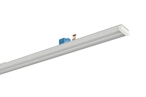 Ridi Leuchten 2550095 VL2P-GLS150-5FLWS840BU1500 LED-Geräteträger