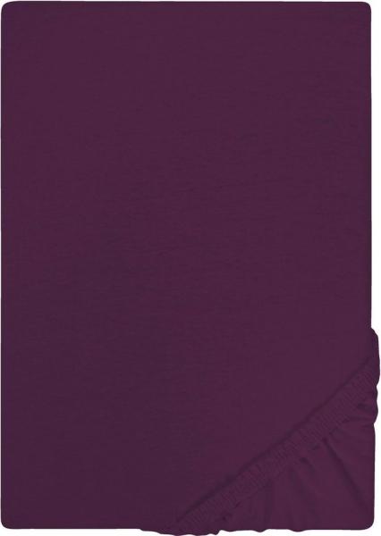Castell Jersey-Stretch-Spannbetttuch, Violett, 1x 180x200 cm - 200x200 cm, 180x200 cm