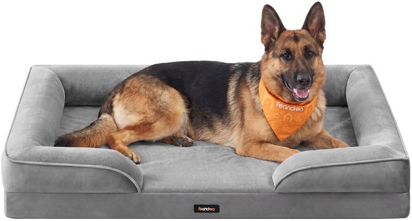 Feandrea Orthopädisches Hundebett, Hundekissen XXXL, erhöhter Rand, Noppenschaumstoff, Bezug abnehmbar, waschbar, rutschfest, Innenfutter wasserabweisend, Taubengrau, 122 x 85 x 17 cm PGW325GD01