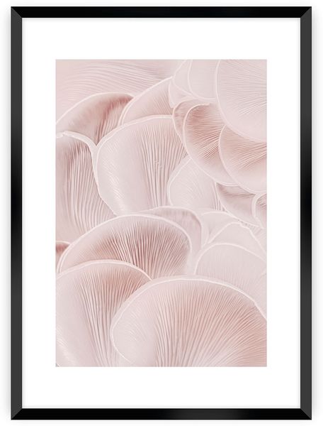 Dekoria Poster Pastel Pink I