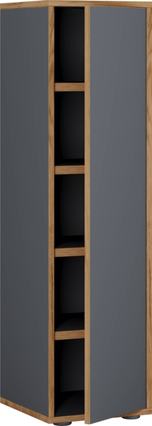 VCM Schuhschrank Salia 921022 Anthrazit B. 30 x H. 110 x T. 33 cm Bild 2