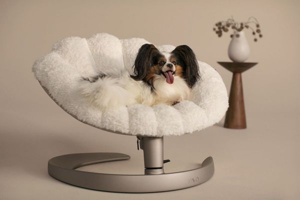 Tavo Tierbett Shell - Haustierbett