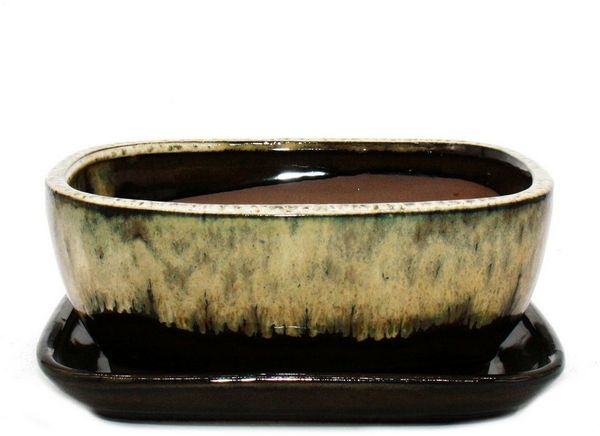 Exotenherz Pflanzschale Bonsai-Schale Unterteller Gr. 3 Braun-Beige rechteckig GB5 L 21,5cm (1 St)