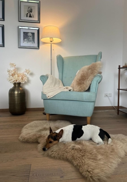 Lammfell Merino Beige Größe: 90-100