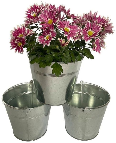 Online-Fuchs Blumentopf 3er Set Pflanzgefäße aus Zink Silber Metall Übertopf Kräuter P45, 19 x 19 x 16 cm, schlicht Henkel Eimer-Design Garten Terrasse Balkon