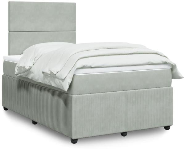 vidaXL Boxspringbett mit Matratze Hellgrau 120x200 cm Samt 3292304