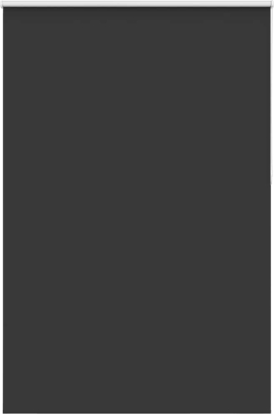 vidaXL Verdunkelungsrollo Schwarz 145x230 cm Stoffbreite 141,6 cm 4010955