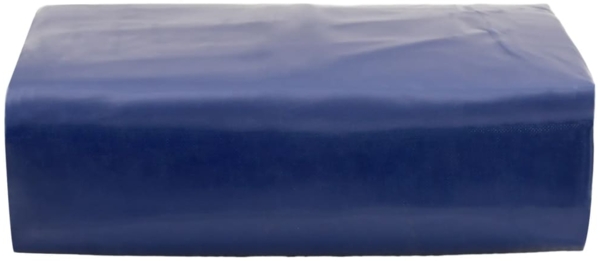 vidaXL Abdeckplane Blau 2x3 m 650 g/m² 156155