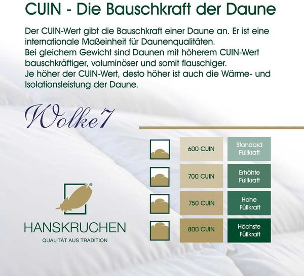 HANSKRUCHEN Daunendecke Wolke 7 - Wäremklasse:Leicht - 200 x 200 cm - 2,080 kg Bild 7