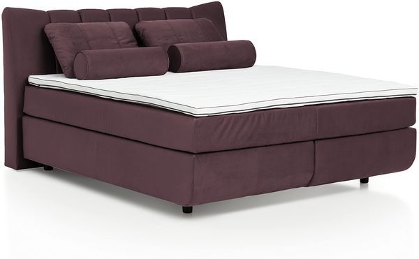 Mivano Free Boxspringbett/Bett mit 7-Zonen-Taschenfederkern-Matratze und Basic Topper/Härtegrad H3 + H4, Velours Cosy Lila, Liegefläche 180x200 cm