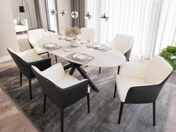 Esstisch mit 6 Stühlen Kunstleder DARON 200 Oval Eiche Furnier weiß lackiert : Eiche weiss