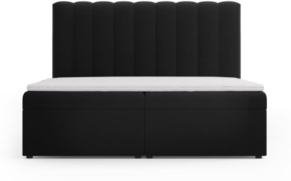 Micadoni Boxspringbett Kelp Samt Schwarz 180x200