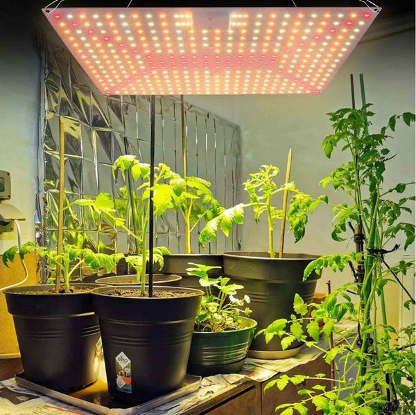 MUPOO Pflanzenlampe LED Pflanzenleuchte,LED Grow Light Vollspektrum mit Kette, Große Größe: 65W/360LEDs,für Indoor-Pflanzen, Gemüse und Blumen