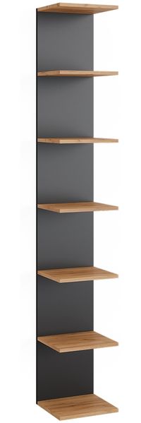 Wandregal Paolo Anthrazit 30 x 190 cm Vicco