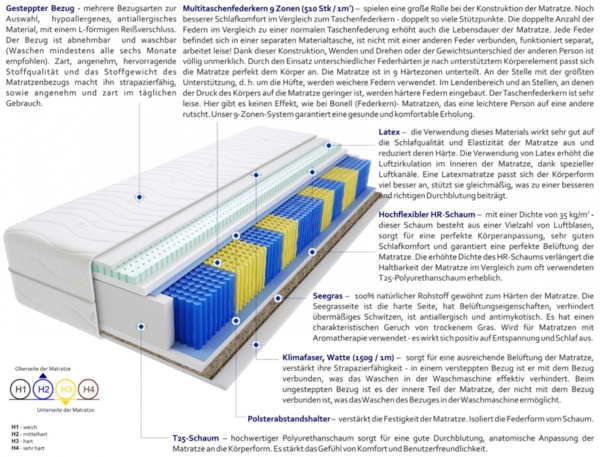 Matratzen Salvo Gras Multitaschen 170x210 cm Bild 3