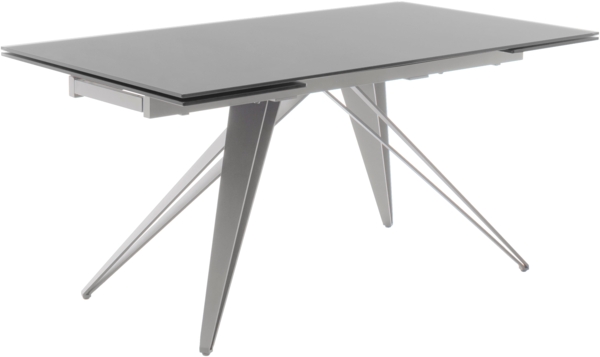 NEMURO Auszugstisch - Grau / Edelstahl-gebürstet