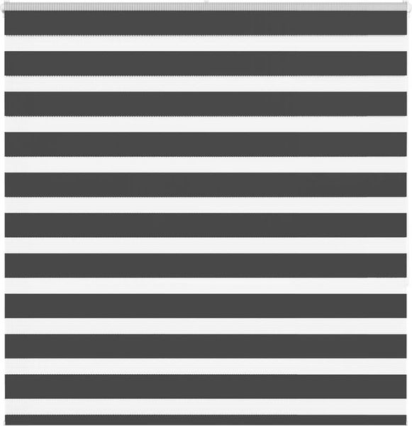 vidaXL Doppelrollo Schwarz 145x150 cm Stoffbreite 140,9 cm Polyester 4014244