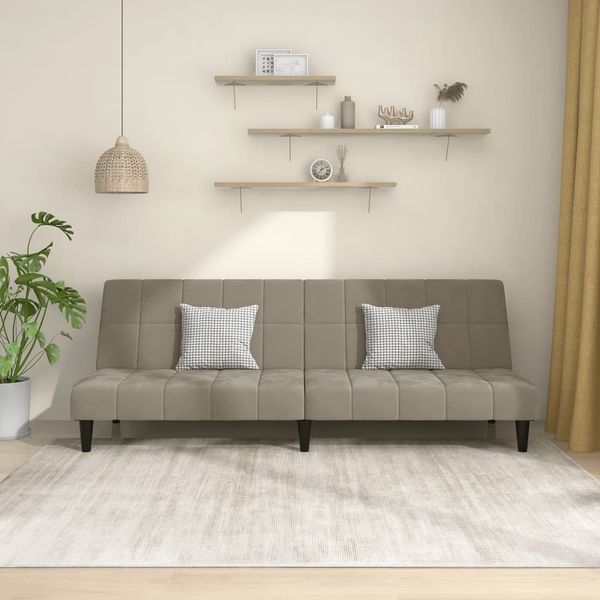 vidaXL Schlafsofa 2-Sitzer Hellgrau Samt 375841