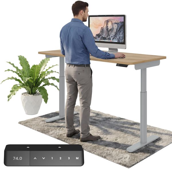 Ergotopia Desktopia One I Elektrisch höhenverstellbarer Schreibtisch I Tischplatte: 138x65cm, Eiche Hell Dekor I Gestell Platingrau