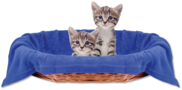 Haustierdecke Katzendecke Kuscheldecke Tierdecke , angenehm und super weich in vielen verschiedenen Farben erhältlich (90x140 cm / blau - königsblau)