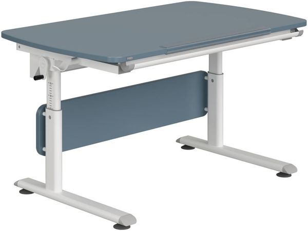 PAIDI Kinderschreibtisch DIEGO CURVED, Schülerschreibtisch, mitwachsend, ergonomisch, stufenlos höhenverstellbar, Tischplatte neigbar