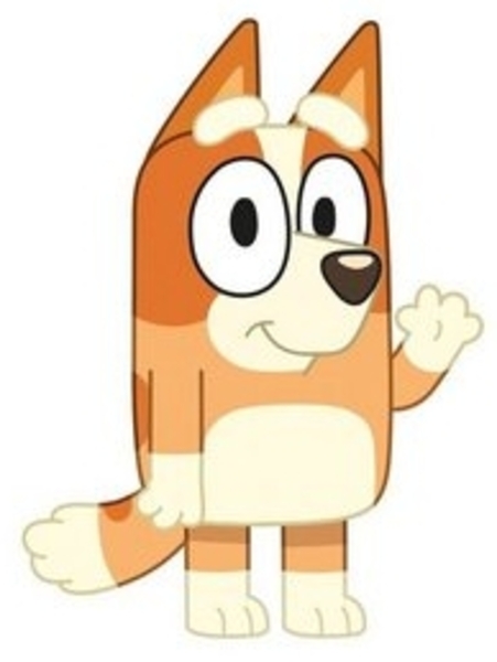 Bluey Kissen Velours Kissen Ideal als Dekokissen Bild 4