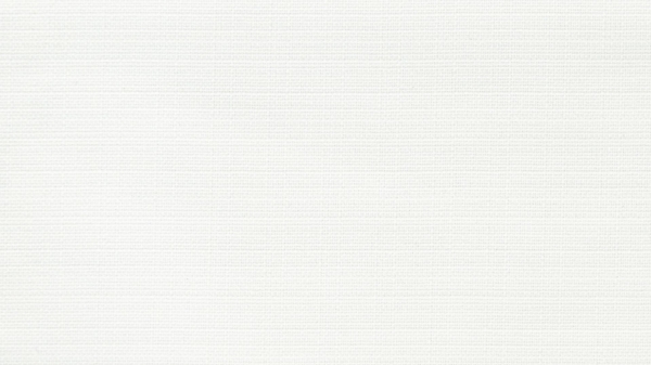 Meisterbetten Boxspringbett Syma 120x220 in W-White, Matratzenbezug Nano, Ergoflex-Topper Bild 2