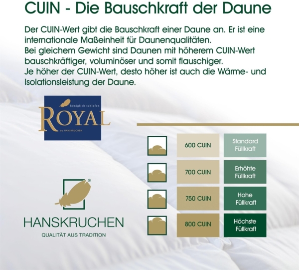 Hanskruchen Royal Luxus Daunendecke, Leicht, Baumwolle, 240x220 cm Bild 6