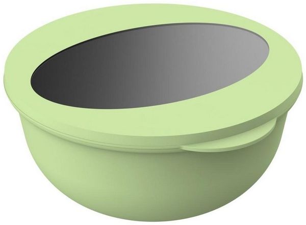 elasto Aufbewahrungssystem Salatbox "Take away" Verpackung - Essensbehälter 1,0 l