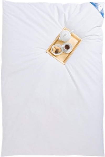 RIBECO Federbettdecke Leon, Füllung: 80% Federn, 20% Daunen, Bezug: Baumwolle, Ballonbettdecke der Klassiker! Bild 4