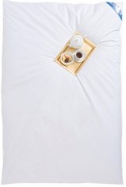 RIBECO Federbettdecke Leon, Füllung: 80% Federn, 20% Daunen, Bezug: Baumwolle, Ballonbettdecke der Klassiker! Bild 6