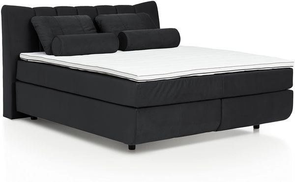 Mivano Free Boxspringbett/Bett mit 7-Zonen-Taschenfederkern-Matratze und Basic Topper/Härtegrad H3, Velours Cosy Anthrazit, Liegefläche 180x200 cm