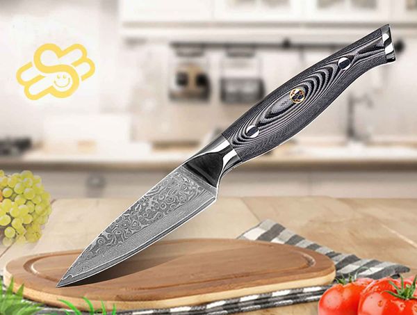 Schälmesser Damststahl, das Koch- und Küchenmesser Obstmesser Gemüsemesser V10