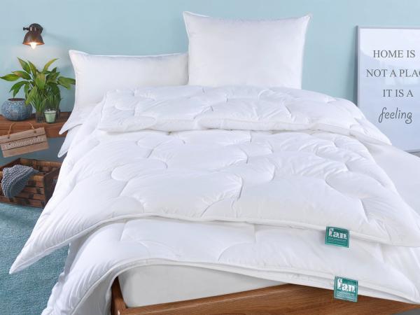 f.a.n. Frankenstolz Texas Microfaser-Steppbett Vierjahreszeiten-Steppbett 155x220