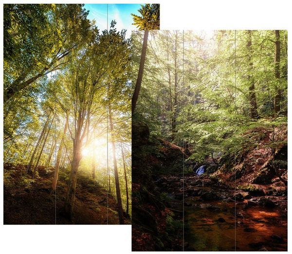 HTI-Living Paravent Paravent Wald (Stück, 1 St, 1 Paravent), Raumteiler Sichtschutz Trennwand