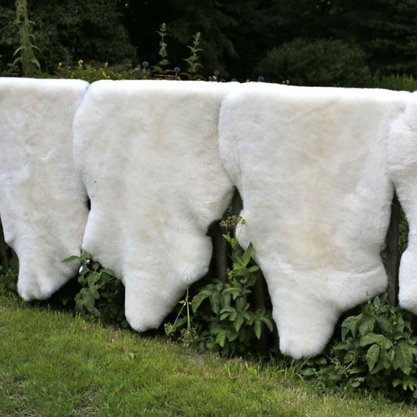 Lammfell Champagner Kurzhaar Wollhöhe 3-4 cm Größe: 100-110 Bild 7